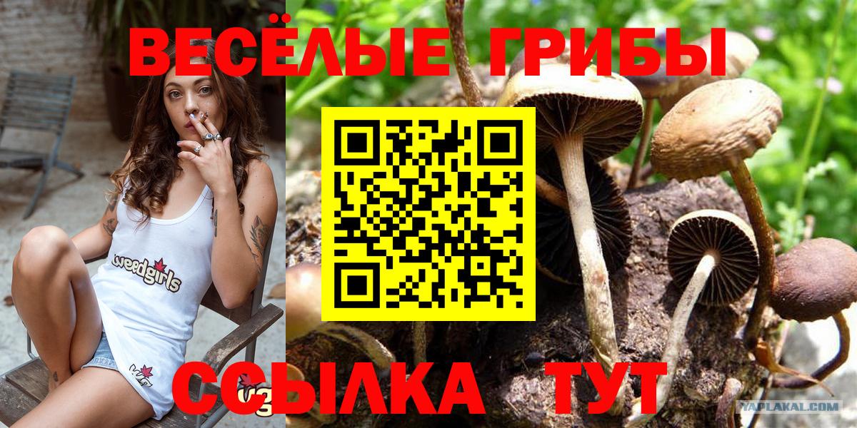 Галлюциногенные грибы GOLDEN TEACHER Орехово-Зуево